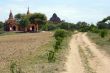 Road to temple