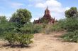 Footpath to the pagoda