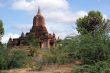 Temple and bush