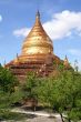 Pagoda