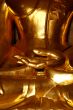 Golden palm