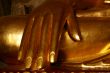 Golden palm