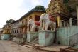 Elephants