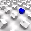 Real Estate Search