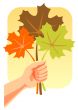 autumn leaves