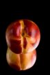nectarine