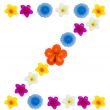 The Letter U