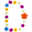 The Letter D