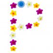 The Letter P