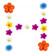 The Letter H