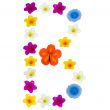 The Letter B