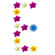 The Letter E