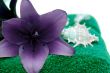 Closeup Spa Towel