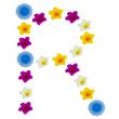 The Letter R