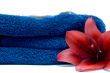 Spa Towel
