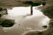 danger reflect