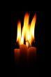 candles