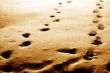 footprints