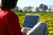 laptop nature work