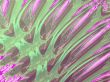 abstract background