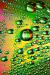 multicolored waterdrops