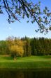 Spring nature landscape