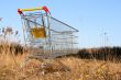 go shoping cart
