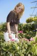 Gardening center