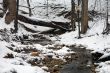 Winter in Washington DC, Rock Creek park