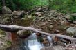 Wood river in Shenandoah