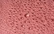 water-drops on red