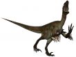 Utahraptor ostrommayorum