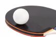 Pingpong Ball