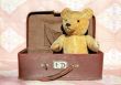 Retro Teddy bear in old suitcase