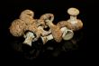Dried mushrooms