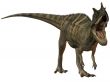 Ceratosaurus nasicornis-3D Dinosaur