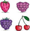 berry icons