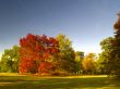 autumnal park
