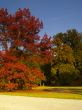 autumnal park