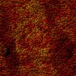 abstract wallpaper
