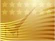 USA election voting illustration