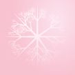 Snowflake illustration