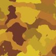 Camouflage pattern