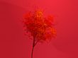 Autumn tree