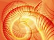 Swirly spiral grunge