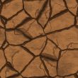 Parched earth