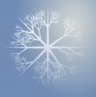 Snowflake illustration