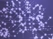 Data flows