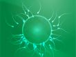 Human egg cell fertilization