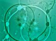 Swirly floral grunge